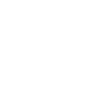 Insurance of your goods - icon